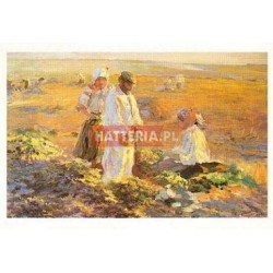 KOPANIE BURAKÓW Leon Wyczółkowski [pocztówka-015]
