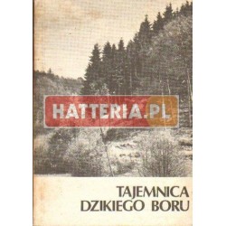 Patricia M. St. John TAJEMNICA DZIKIEGO BORU [antykwariat]