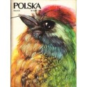 POLSKA. CZASOPISMO ILUSTROWANE NR 4 (308) 1980