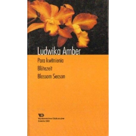 Ludwika Amber PORA KWITNIENIA [antykwariat]