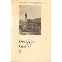 Mieczysław Paszkiewicz GOREJĄCY KAMIEŃ [antykwariat]