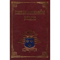 DZIEJE PRYMASÓW POLSKI. TOM 6 [antykwariat]
