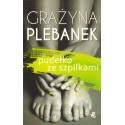 Grażyna Plebanek PUDEŁKO ZE SZPILKAMI [antykwariat]