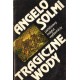 TRAGICZNE WODY Angelo Solmi [antykwariat]