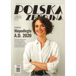 POLSKA ZBROJNA NR 11 (895) LISTOPAD 2020 [antykwariat]