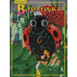 BIEDRONKA [antykwariat]