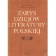 ZARYS DZIEJÓW LITERATURY POLSKIEJ Juliusz Kleiner, Włodzimierz Maciąg