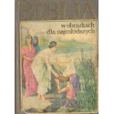 BIBLIA W OBRAZKACH DLA NAJMŁODSZYCH [antykwariat]