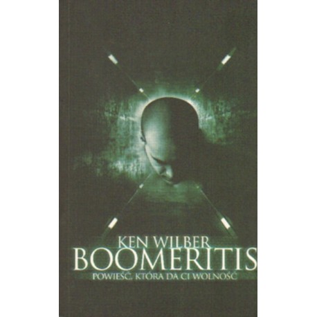 BOOMMERITIS Ken Wilber [antykwariat]