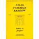 ATLAS TWIERDZY KRAKÓW - TOM 8. SERIA I