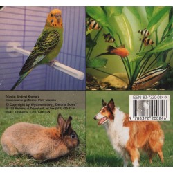 ZWIERZĘTA W NASZYM DOMU