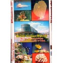 MORSKI INSTYTUT RYBACKI. MUZEUM OCEANOGRAFICZNE I AKWARIUM MORSKIE W GDYNI