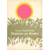 DEPTANE PO DRODZE Irena Gumowska