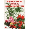 PIELĘGNACJA ROŚLIN DONICZKOWYCH