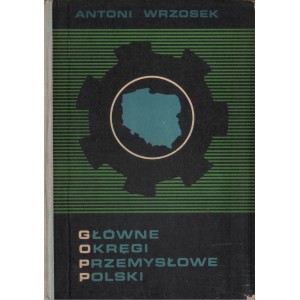 GŁÓWNE OKRĘGI PRZEMYSŁOWE POLSKI Antoni Wrzosek