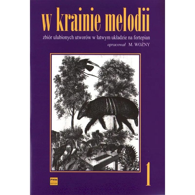 W krainie melodii na fortepian: Michał Woźny | Nuty – Hatteria.pl